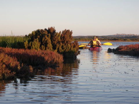 Mundoo Island Station - VIC Tourism 13