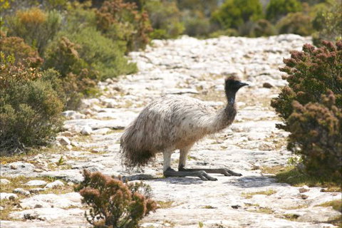 Congo Campground - VIC Tourism 3