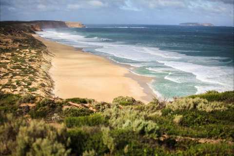 Congo Campground - VIC Tourism 4