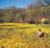 Miners Camp at Coalseam National Park - VIC Tourism