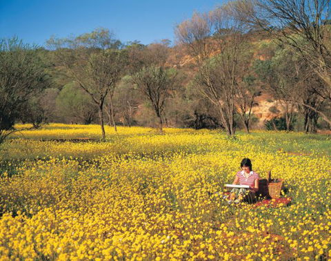 Miners Camp At Coalseam National Park - VIC Tourism 0