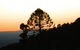 Bunya Mountains Accommodation Centre - thumb 0
