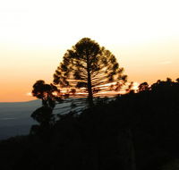 Bunya Mountains Accommodation Centre - VIC Tourism