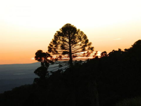 Bunya Mountains Accommodation Centre - VIC Tourism 0
