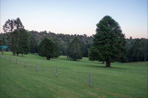 Bunya Mountains Accommodation Centre - VIC Tourism 5