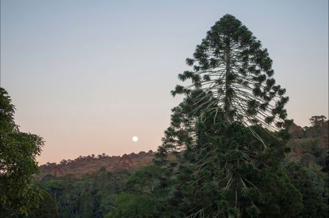 Bunya Mountains Accommodation Centre - VIC Tourism 6