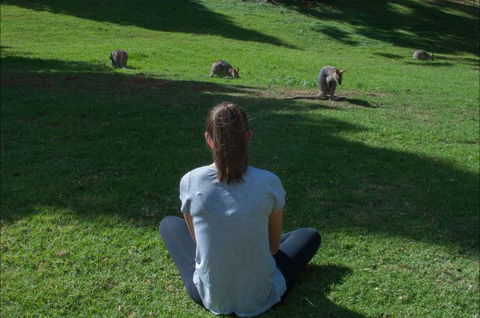 Bunya Mountains Accommodation Centre - VIC Tourism 7