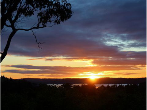 Herons Rise Vineyard Accommodation - VIC Tourism 4