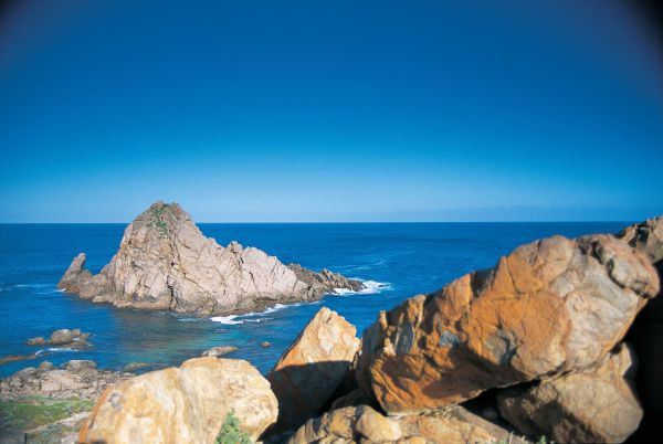 Boranup WA VIC Tourism