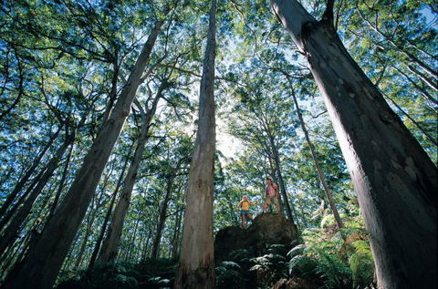 Point Road Camp At Leeuwin-Naturaliste National Park - VIC Tourism 1