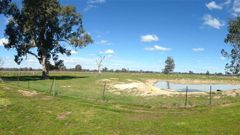 Twin Palms Cottage - VIC Tourism 6
