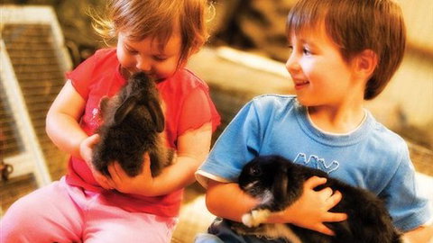 Macka's Farm - VIC Tourism 0