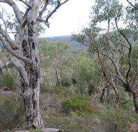 The Glen - VIC Tourism