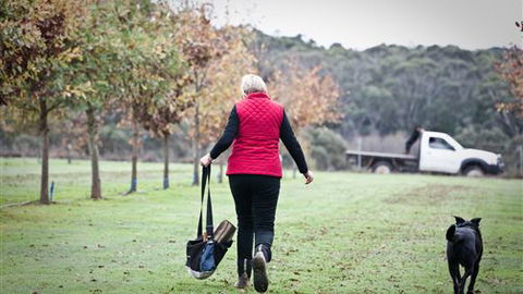 Black Cat Cottage - VIC Tourism 0
