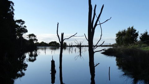 A Fare With Nature @ Prom Road Farm - VIC Tourism 6
