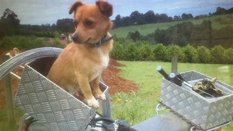 Farm Accommodation - VIC Tourism 1