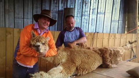 Farm Accommodation - VIC Tourism 3