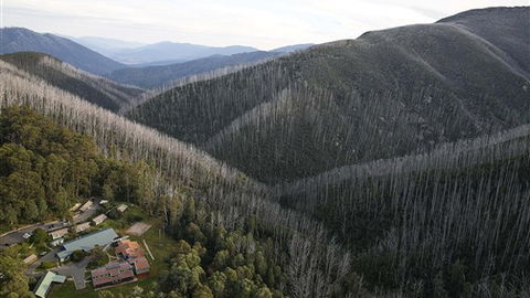 YMCA Howmans Gap Alpine Centre - VIC Tourism 0