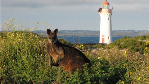 Port Fairy YHA - VIC Tourism 2