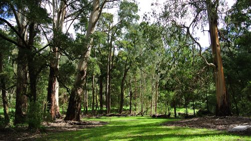Ellerslie VIC VIC Tourism