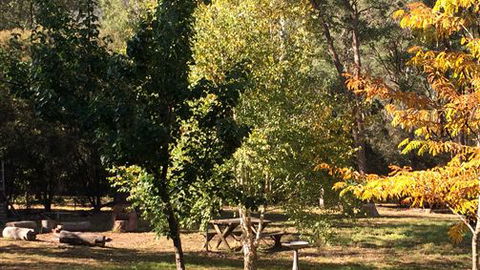 Schusters Lodge - VIC Tourism 6