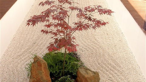 Shizuka Ryokan Japanese Country Spa & Wellness Retreat - VIC Tourism 6