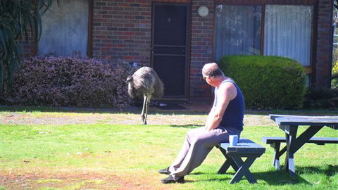 Halls Haven Resort - VIC Tourism 7