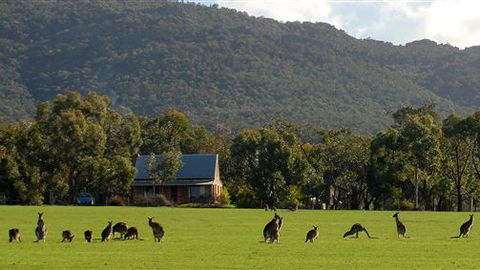 Grampians Pioneer Cottages - VIC Tourism 3