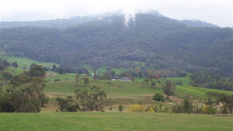 Murphy's Cabin - VIC Tourism 1