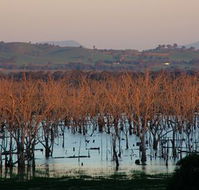 Salisbury - VIC Tourism