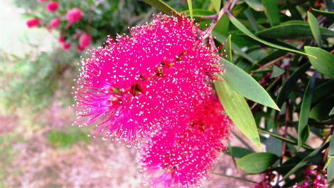 Sweetwater Stays Rural Retreat - VIC Tourism 4