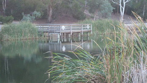 Mallard House Ballarat - VIC Tourism 5