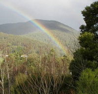 Wattletree Cottage - VIC Tourism