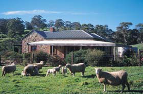 Coromandel East SA VIC Tourism