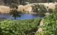 ArtWine Cottages - thumb 1