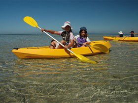 Ceduna Shelly Beach Caravan Park And Beachfront Villas - VIC Tourism 2