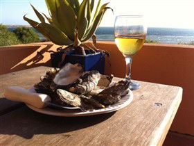 Ceduna Shelly Beach Caravan Park And Beachfront Villas - VIC Tourism 4