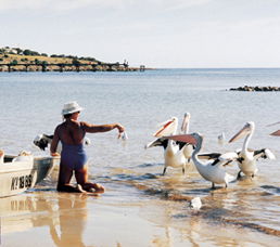 Loverings Lodge - Emu Bay - VIC Tourism 1