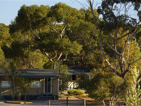 Seppeltsfield SA VIC Tourism