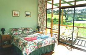 Southern Ocean Retreats - Deep Creek Homestead - VIC Tourism 1