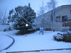 Aalberg Chalet - VIC Tourism 4