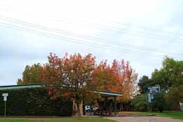Allambie Motel Pty Ltd - VIC Tourism 0