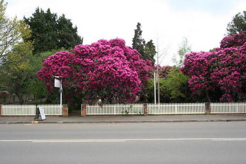 Anabel's Of Scottsdale - VIC Tourism 3
