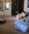 Arcady Homestead - VIC Tourism 2