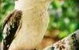 Arcady Homestead - thumb 3