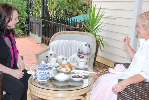 Must Love Dogs B&B And Self-Contained Cottage - VIC Tourism 2