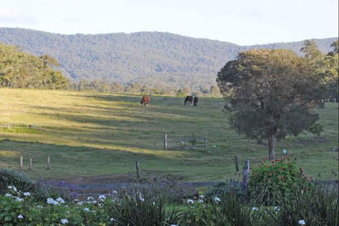 Wallaby Cottage - VIC Tourism 1