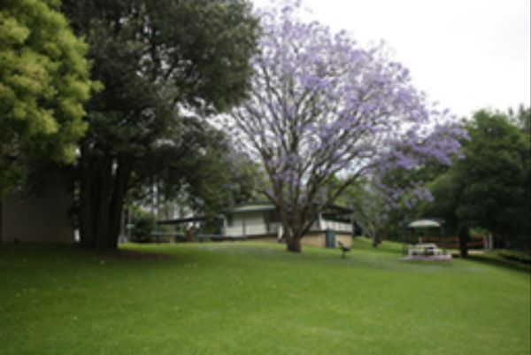 Pitt Town NSW VIC Tourism