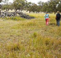 Carnarvon National Park camping - VIC Tourism