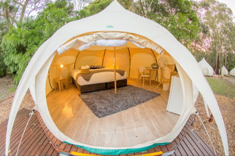 Yarra Valley Park Lane Glamping Belle Tents - VIC Tourism 8